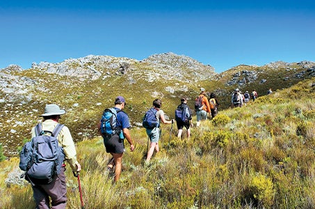 【現地集合現地解散】富士山ガイドと登る!藻岩山ハイキング 日帰り 富士登山練習会を開催!1